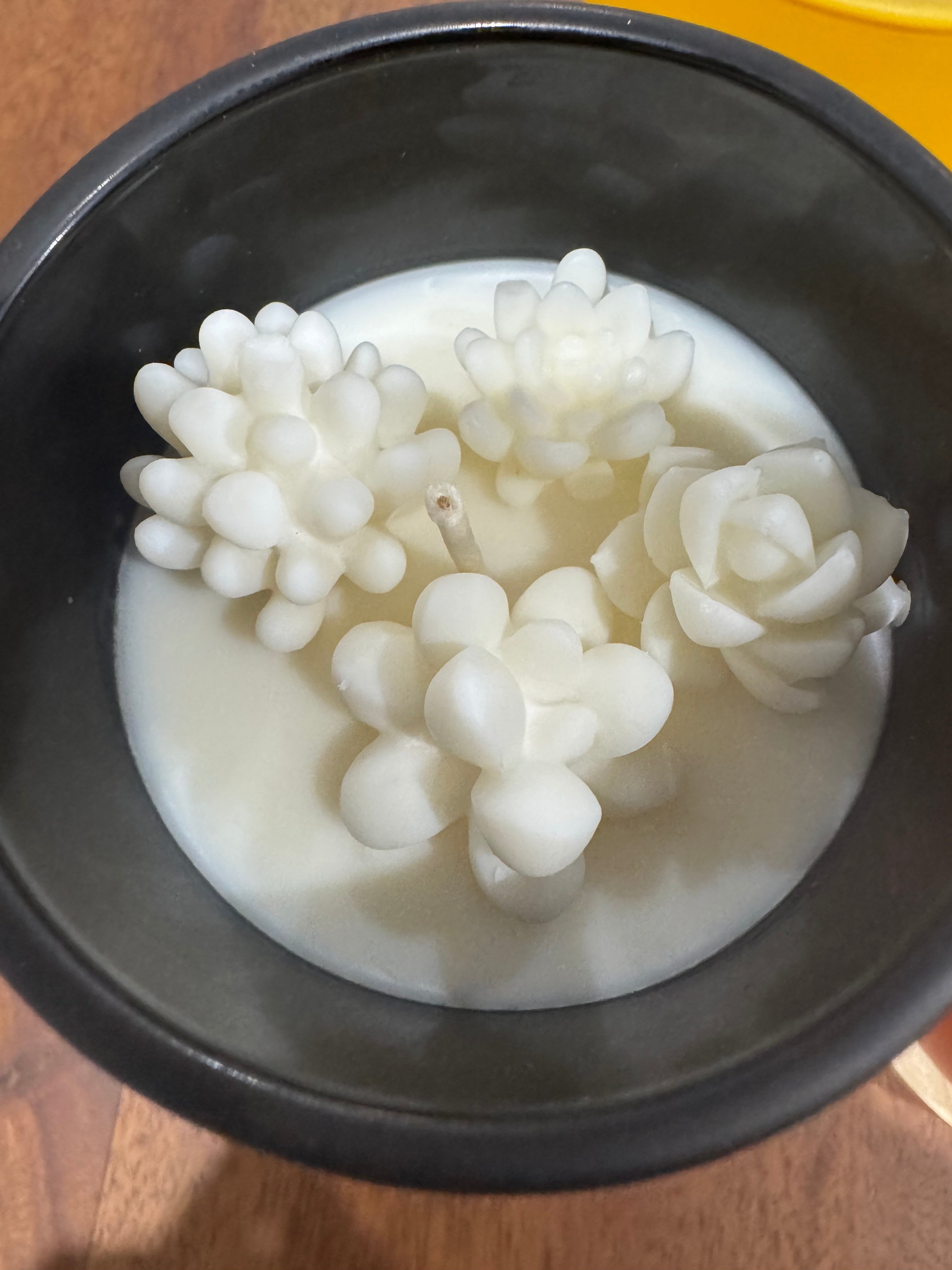 Cactus Cantina Candle