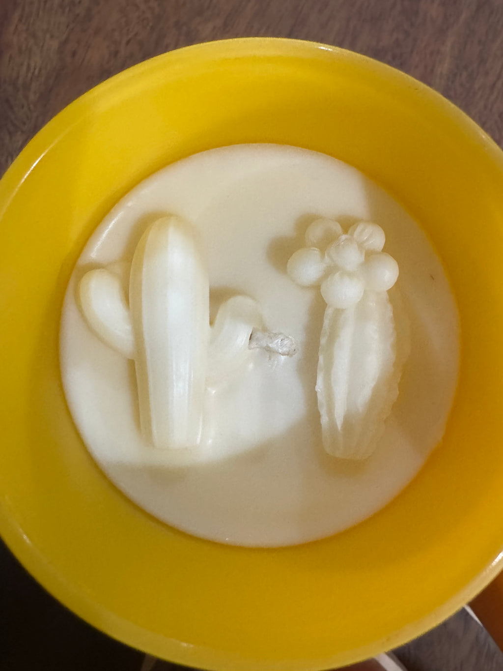 Cactus Cantina Candle